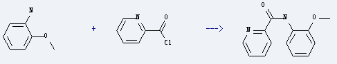 o-Anisidine is used to prepare pyridine-2-carboxylic acid o-anisidide by reaction with pyridine-2-carbonyl chloride.